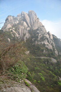 巍峨山峰与葱郁植被景观