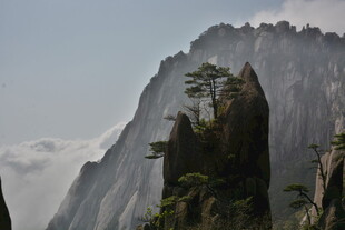 巍峨黄山奇峰 孤松挺立
