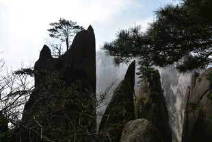 奇峻山石旁的挺拔松树