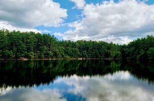 宁静湖畔森林倒影美景