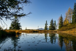 秋日静谧湖畔美景