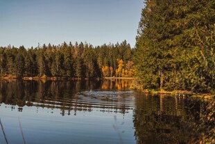 秋日静谧湖畔森林美景