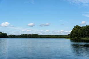 宁静湖泊与葱郁树林美景