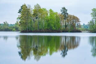 宁静湖畔绿树倒影美景