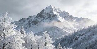 雪山雪景银装素裹的山林
