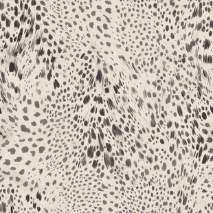 豹纹纹理图案