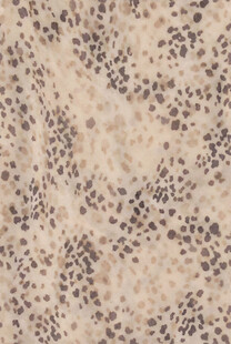 细胞组织切片显微图像