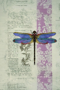 复古风蓝色蜻蜓插画