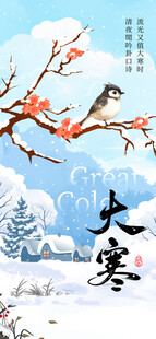 大寒海报
