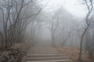 雾中石阶 山林静谧之景