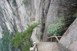山间陡峭石阶 绿植相伴