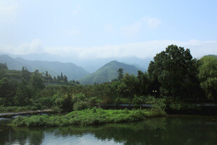 湖畔青山绿树美景如画