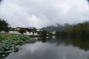 湖畔荷景 云雾缭绕的诗意