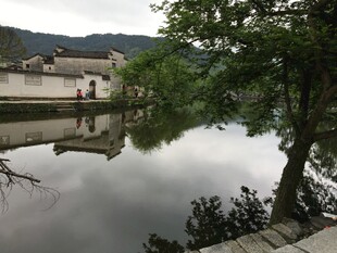 宁静湖畔的自然美景