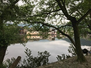 湖畔绿树环绕美丽景致