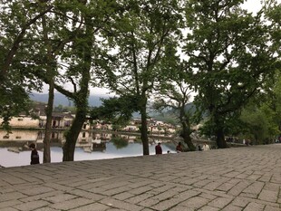 河畔绿树环绕的石板路