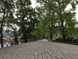 林间石板路 静谧自然景