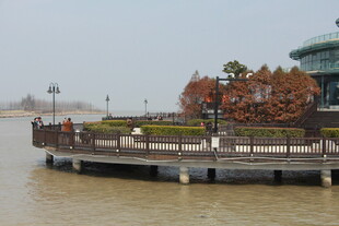 江边观景平台秋景