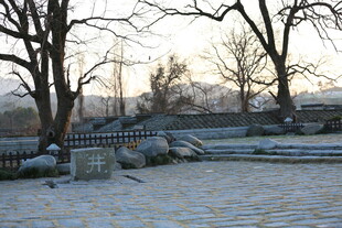 冬日雪覆公园静谧景致