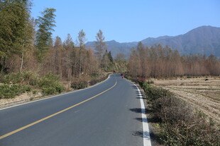 蜿蜒公路旁的自然风光
