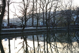 冬日河畔静谧倒影