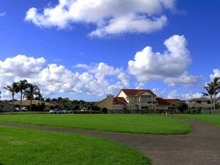 蓝天白云下的美丽田园风光