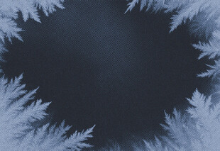 冬日冰霜纹理背景图