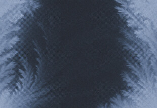 深蓝色羽毛纹理特写