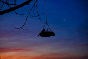 黄昏下的静谧秋千