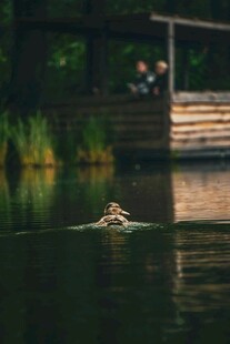 湖面小船悠 的静谧景致