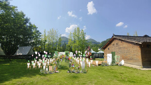户外草坪婚礼布置场景