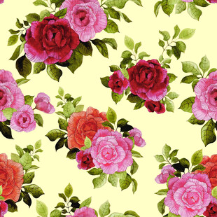 花卉图案多彩玫瑰与绿叶