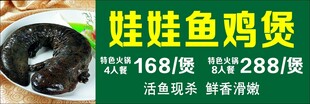 娃娃鱼鸡煲促销海报