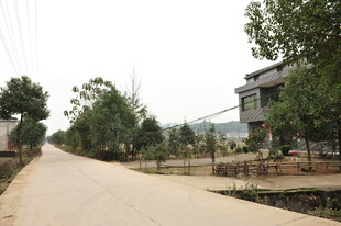 乡村宁静小路与周边民居