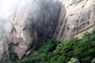 陡峭山壁旁的葱郁植被