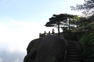 悬崖边的观景台与松树