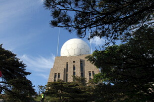 圆顶建筑隐于葱郁树木间