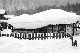 雪覆木屋 冬日静谧景致