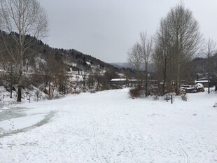 冬日雪景中的宁静乡村小道