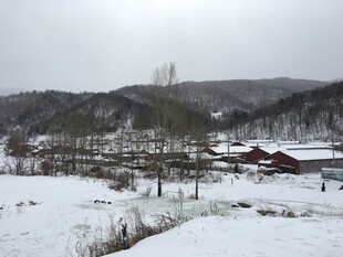 冬日雪景中的乡村景致