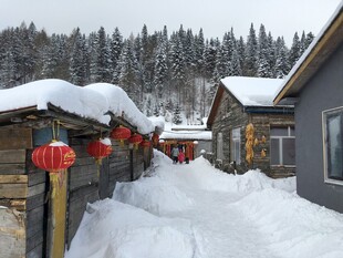 雪覆木屋挂红灯迎新年
