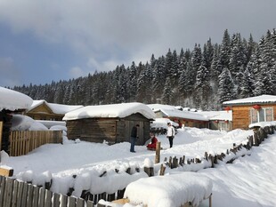 雪覆木屋前的欢乐场景
