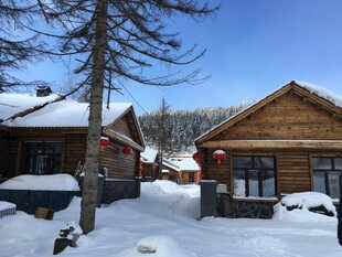雪覆木屋的冬日静谧景象