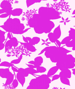 紫色花卉剪影图案背景