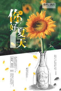 瓶中向日葵邂逅夏天