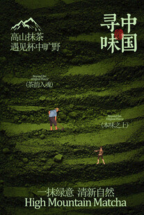 寻味中国高山抹茶海报