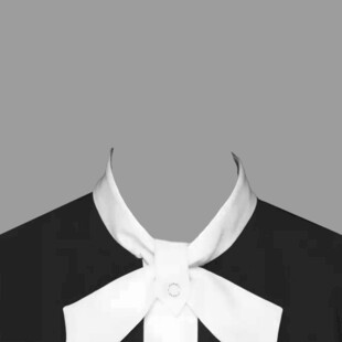 男士白色领结正装衣领