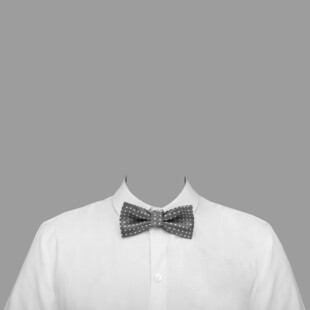 白色衬衫搭配精致领结