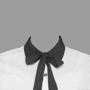 白色衬衫上的黑色领结