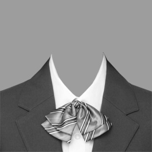 男士西装领间别致领带配饰